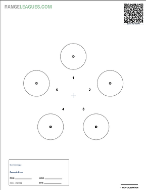 Precision target