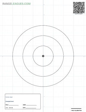 Accuracy and Precision target template
